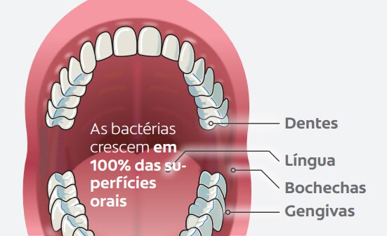 Prevenção diária Prevenção diária
